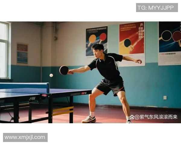 乒乓球的魅力与智慧：深入剖析成都乒乓球队的战术体系与训练方法