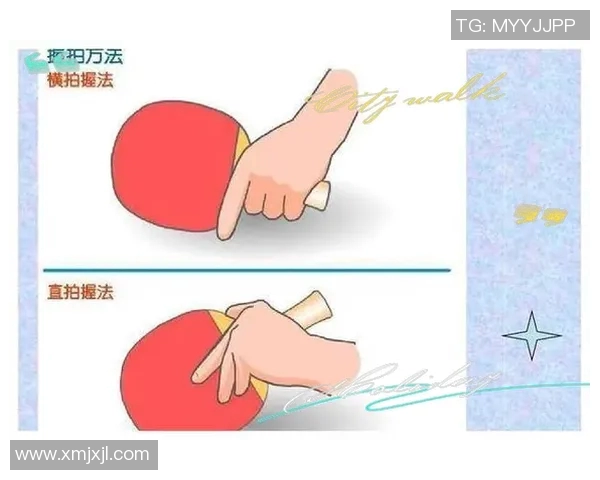 从零起步掌握乒乓球战术技巧全解析助你成为乒乓高手