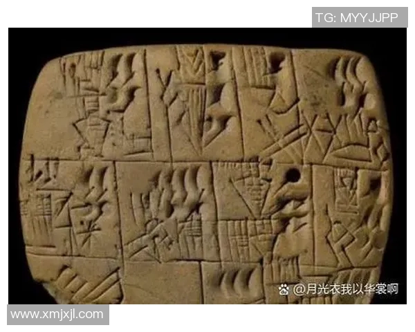 侯姓足球明星的辉煌历程与成就分析