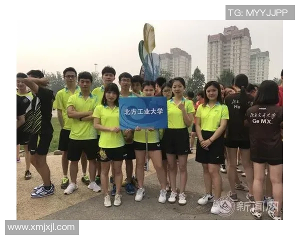 北京乒乓球队意识探讨与发展策略分析的深度研究与思考