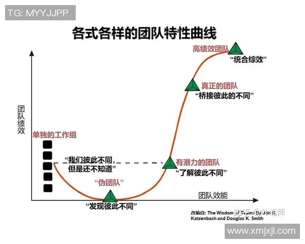 深入探讨北京羽毛球队团队协作模式与其他球队的差异与优势分析
