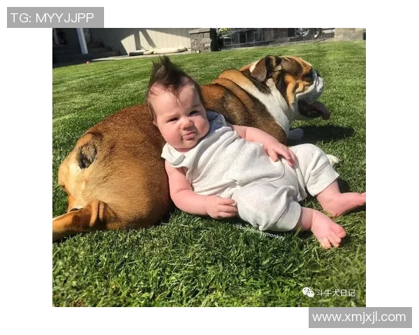 小萌娃与足球明星亲密互动瞬间引发全场欢笑与感动