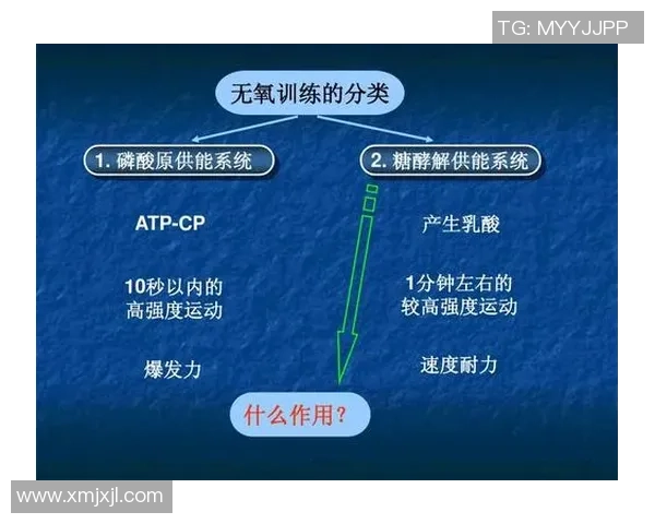 成都羽毛球队反击战术解析与实战应用探讨 成都羽毛球队反击战术解析与实战应用探讨
